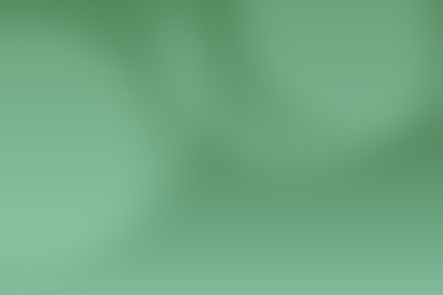 Start with the lawn, not the feature list AI-generated editorial illustration.